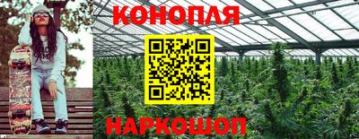 СК Можайск