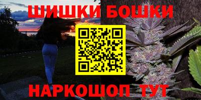 индика Нальчик