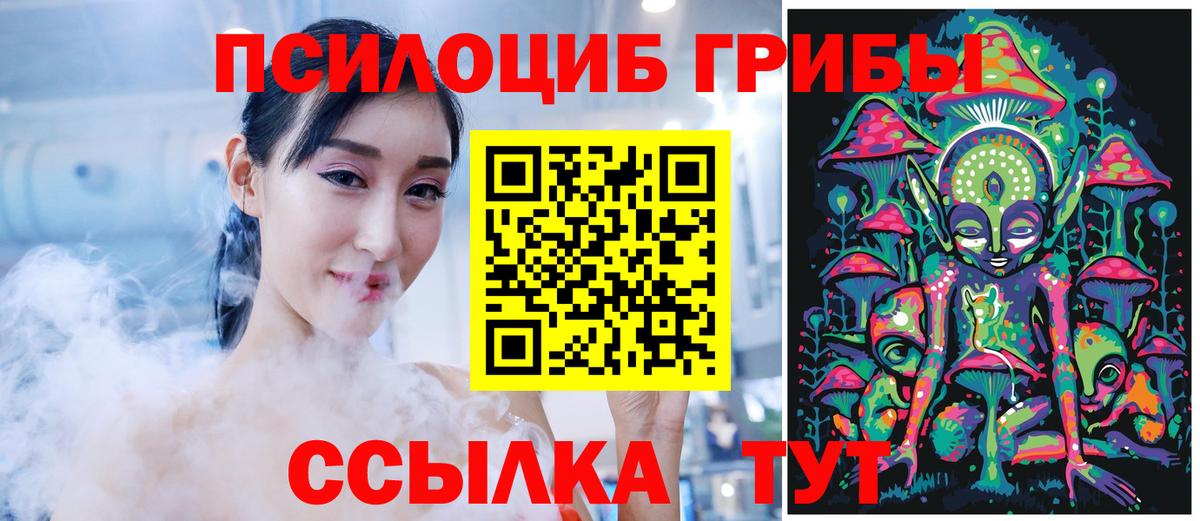 Псилоцибиновые грибы Cubensis Троицк